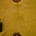 Goochland Shower Head